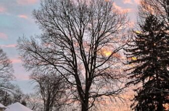 The Little Issues Publication #452 – Life, laughter, and many nice meals!