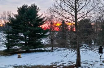 The Little Issues Publication #455 – Life, laughter, and many nice meals!