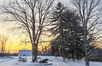 The Little Issues Publication #457 – Life, laughter, and many nice meals!