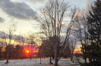 The Little Issues Publication #459 – Life, laughter, and many nice meals!