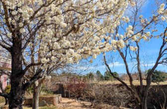 The Little Issues E-newsletter #461 – Life, laughter, and plenty of nice meals!