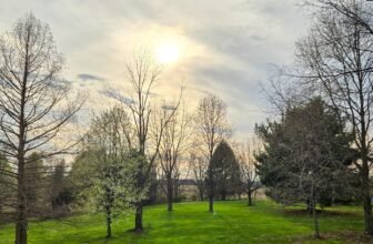 The Little Issues E-newsletter #465 – Life, laughter, and plenty of nice meals!