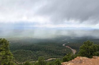 The Little Issues Publication #468 -Life, laughter, and plenty of nice meals!