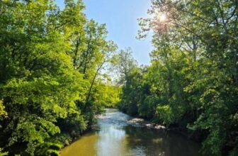 The Little Issues E-newsletter #470 – Life, laughter, and many nice meals!