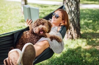 The best way to Make Relaxation Really feel Productive (So You Truly Do It)