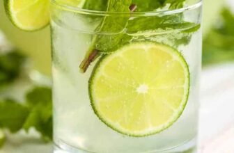 Mojito Recipe – Spend With Pennies