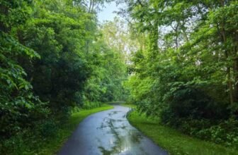 The Little Issues Publication #472 – Life, laughter, and plenty of nice meals!