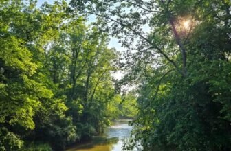 The Little Issues E-newsletter #473 – Life, laughter, and many nice meals!