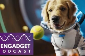 Easy methods to survive our AI video hellscape