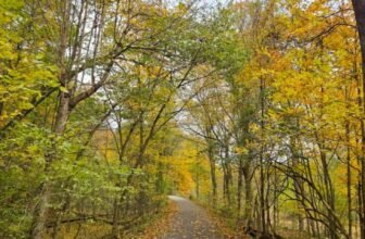 The Little Issues E-newsletter #492 – Life, laughter, and many nice meals!