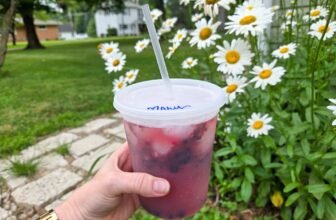 Simple Mocktails – Barefeet within the Kitchen